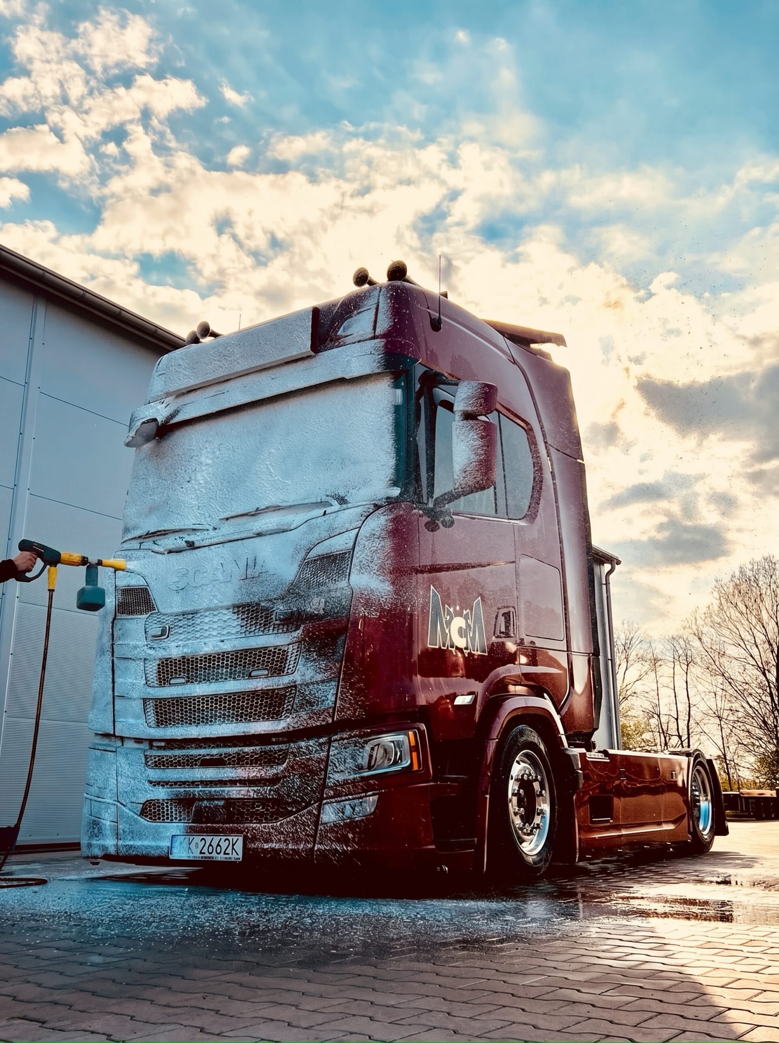 Flota MCM Transport